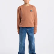 America Today brown sweatshirt with back print