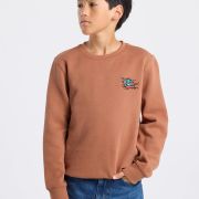 America Today brown sweatshirt with back print
