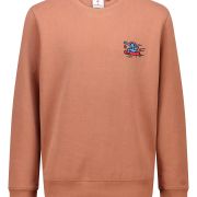 America Today brown sweatshirt with back print